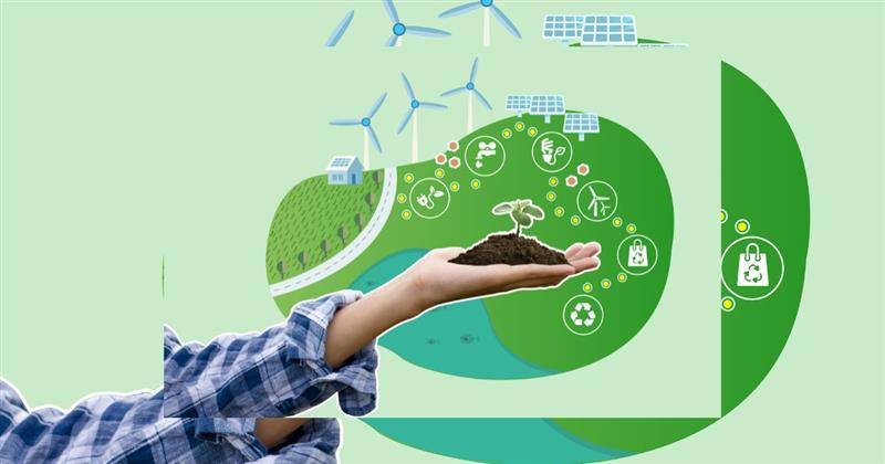   Understanding Waste-to-Energy: Turning Waste into Renewable Power